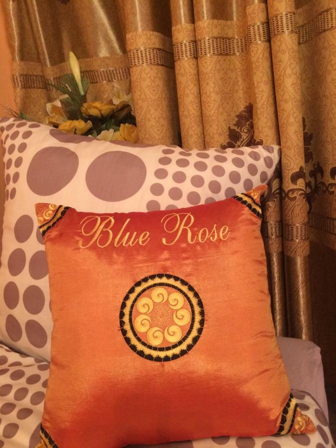 Blue Rose Apartman Karlovy Vary Extérieur photo