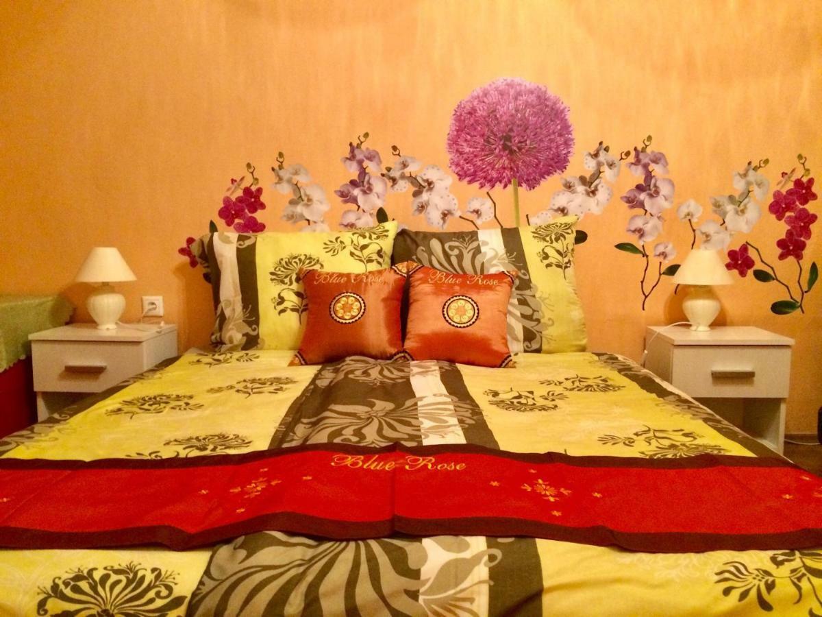 Blue Rose Apartman Karlovy Vary Extérieur photo