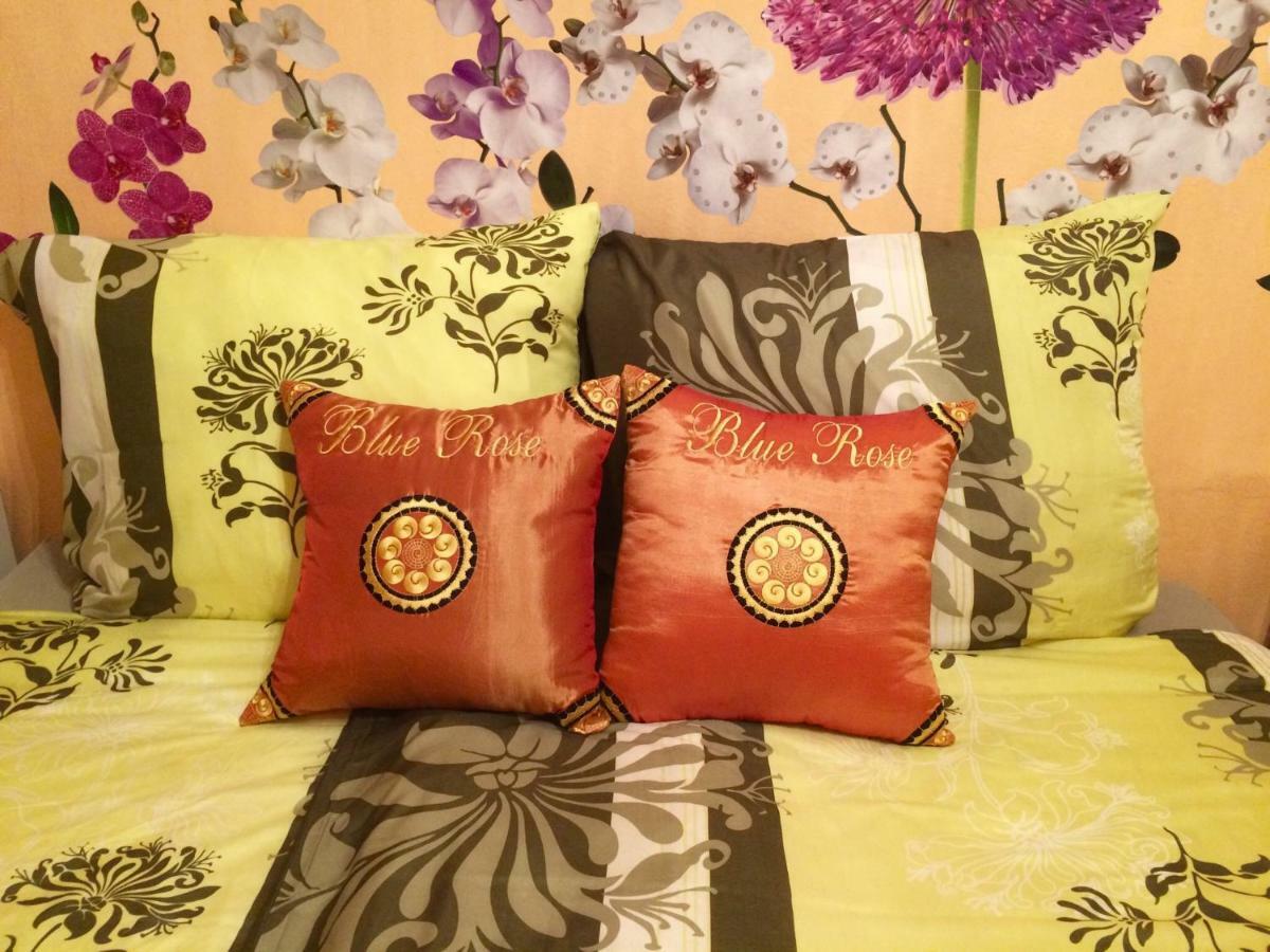Blue Rose Apartman Karlovy Vary Extérieur photo